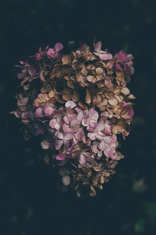 Vintage Dantel örnek fotoğraf 3