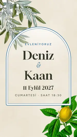 Ege Zeytini şablonu